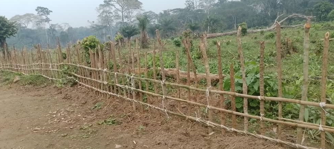 Volunteers working on our Mooto’s property