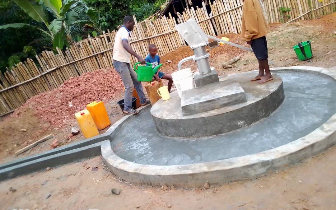 Volunteers working on our Mooto’s property